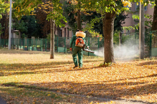 Bird Control in Walnut Creek, NC